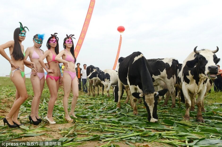Сельский конкурс красоты в Китае