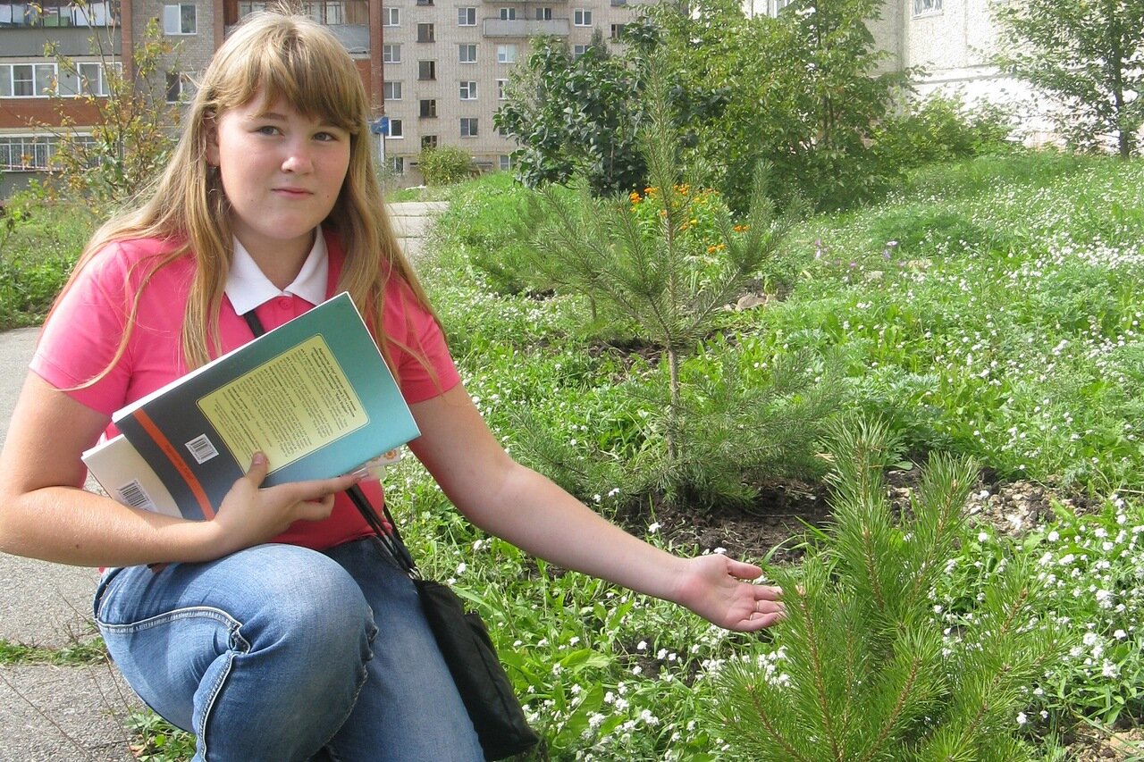 Школьнице Насте Тютевой очень понравились юные вечнозеленые красавицы