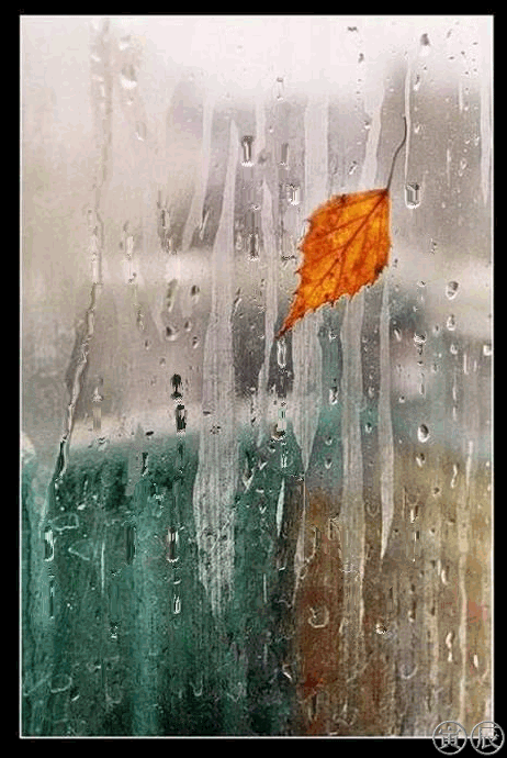 Кали дождя на стекле