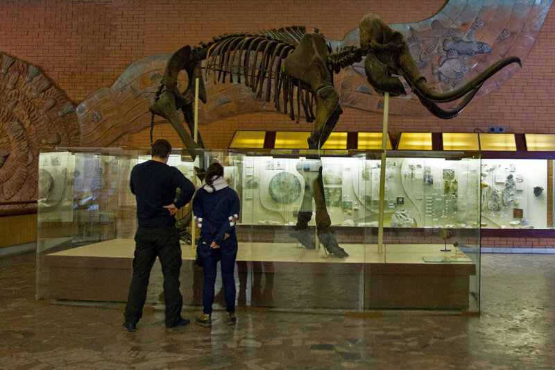 Палеонтологический музей, Москва