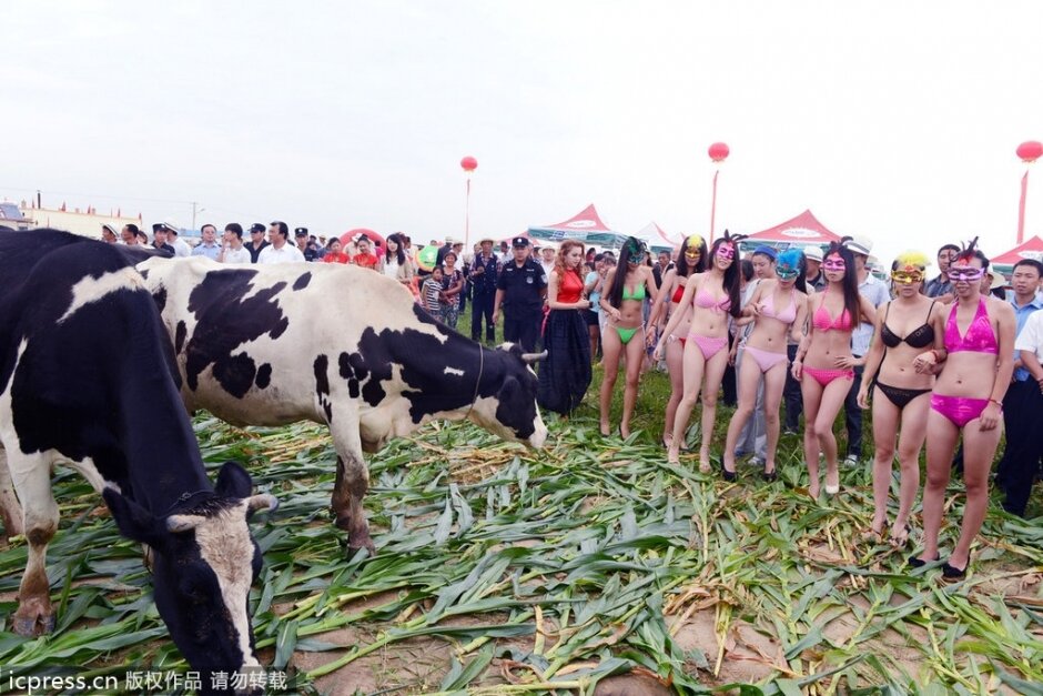 Сельский конкурс красоты в Китае