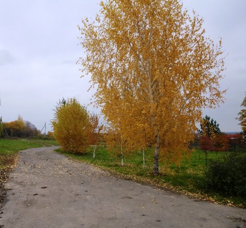 Осенний блюз - фото 25
