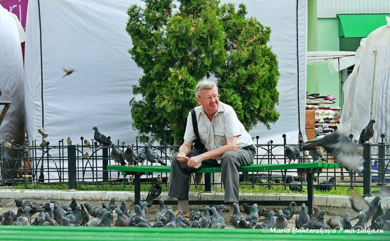 Повелитель стаи голубей, Саратов, Сенной рынок, 22 июня 2013 года