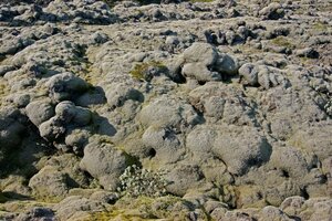Долина пушистых камней, Исландия