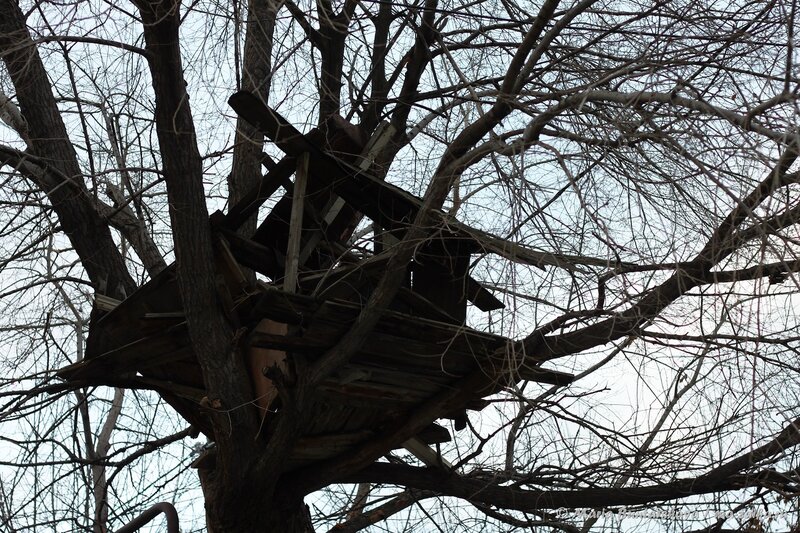 Человеческое гнездо, Саратов, 15 ноября 2013 года