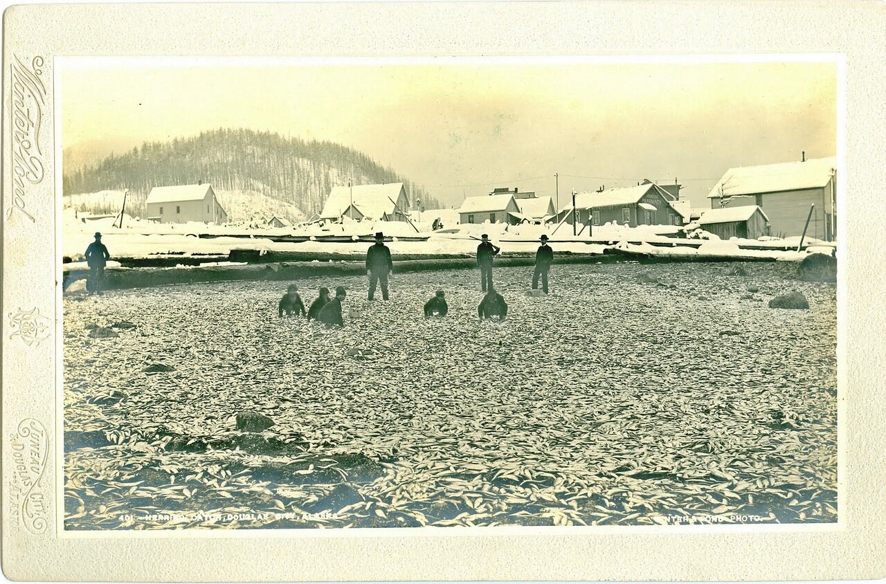 1895. Дети тлинкитов на берегу острова Дугласа, неподалеку от Джуно