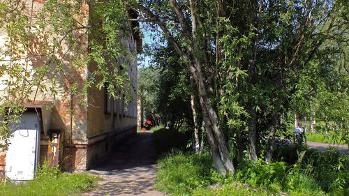 Фотография Инты №5213
 Аллея с восточной стороны Геологической 1 16.07.2013_12:52