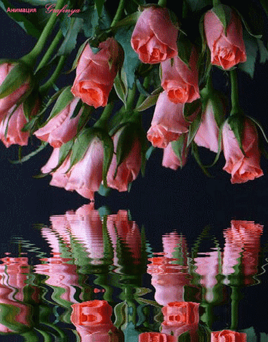 Для тебя !Букет розовых роз отражается в воде