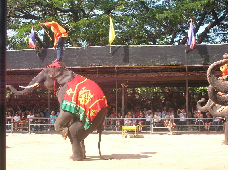 Таиланд, Нонг Нуч - шоу слонов (Thailand, Nong Nooch - Elephant show)