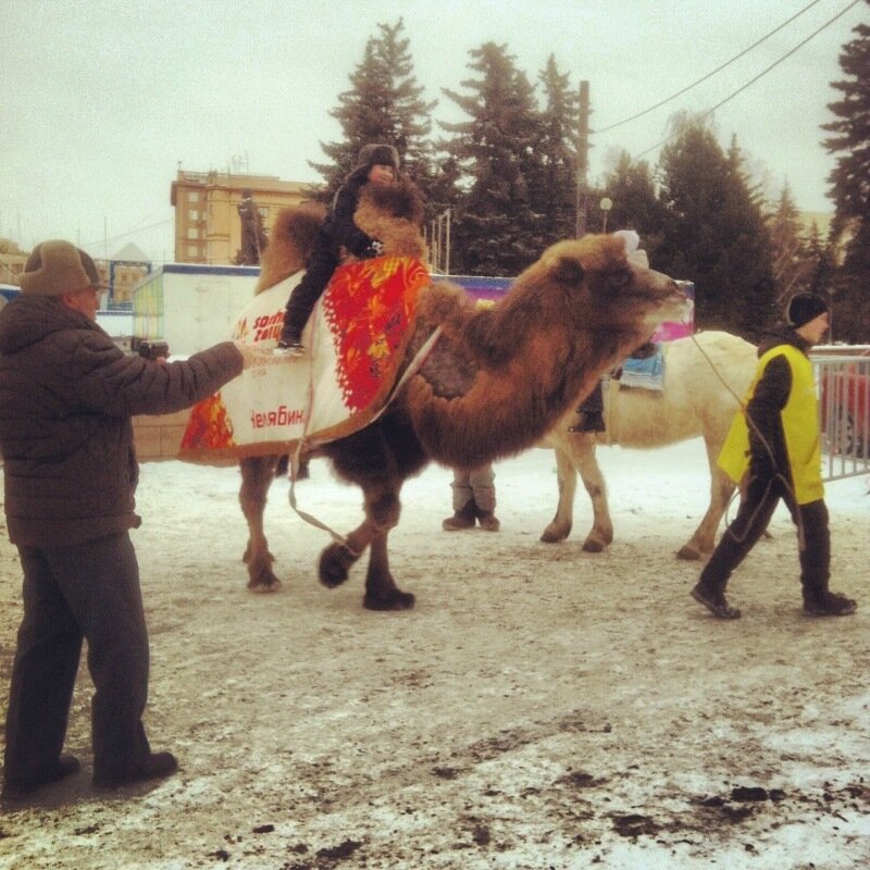 Жители ледяного городка-2014