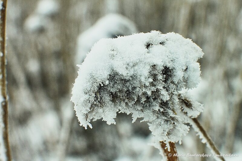 Снежные просторы парка Победы, Саратов, 29 декабря 2013 года