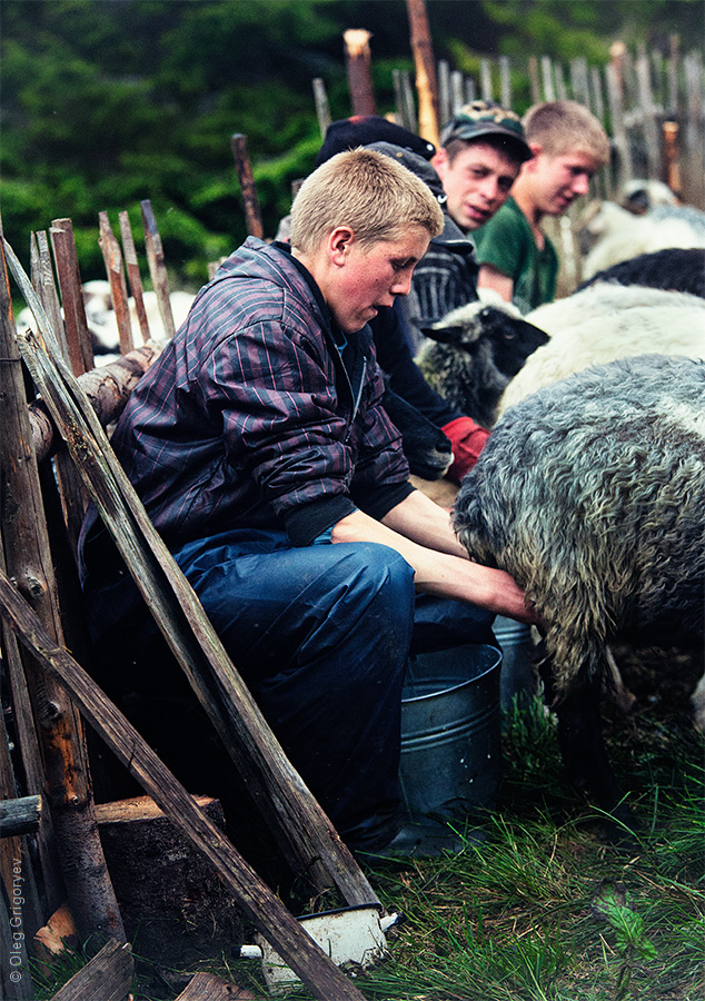 Життя пастухів в Карпатах: яке воно &#8211; життя на високогір’ї Карпат? 0 dca4c fb586d3a orig