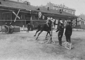 Демонстрация рубки каната на полном скаку во время конных состязаний в бригаде на плацу.