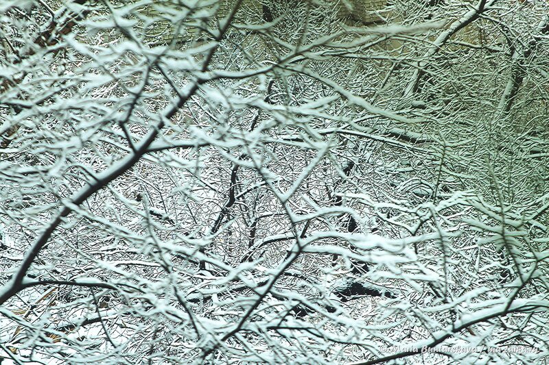 Дуновение зимы, Саратов, 18 марта 2014 года