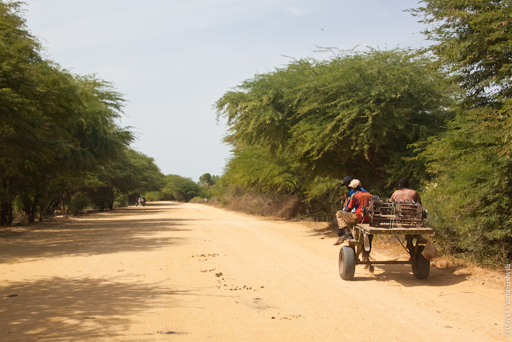 Сенегал, Национальный парк Джудж