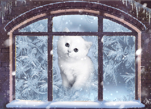 Зима смотрит в окошко открытки фото рисунки картинки поздравления