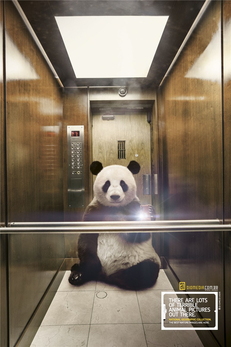Рекламная кампания сервиса стоковых фотографий Diomedia - National Geographic Collection - Panda