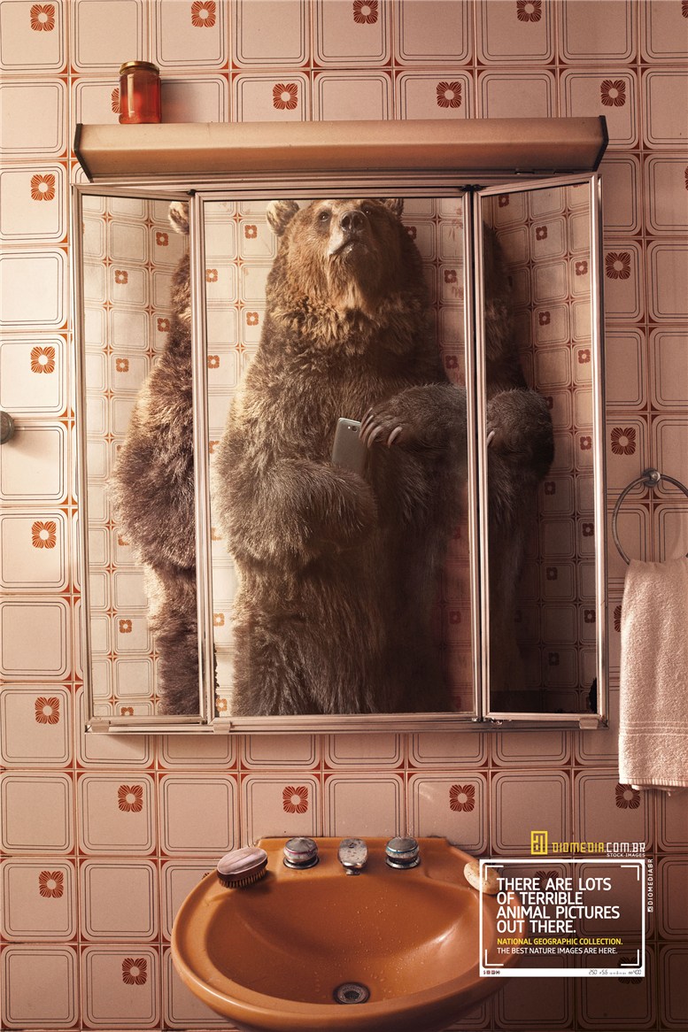 Рекламная кампания сервиса стоковых фотографий Diomedia - National Geographic Collection - Bear