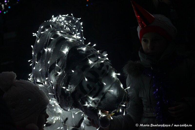 Животные в свете, Энгельс, Центральная площадь, 21 декабря 2013 года