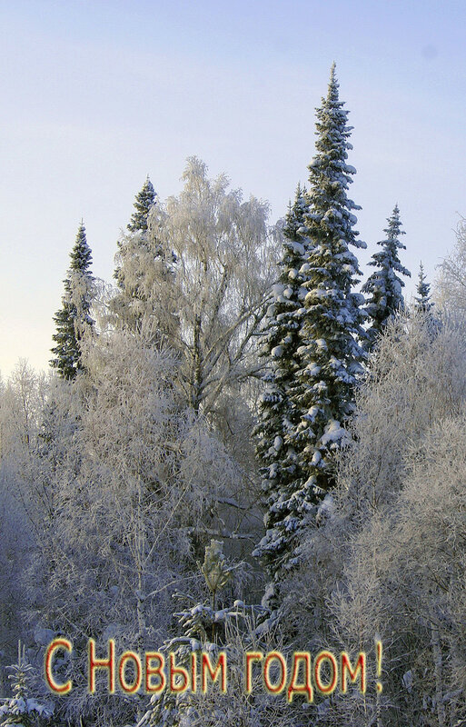 Новогодний привет из Сибири!