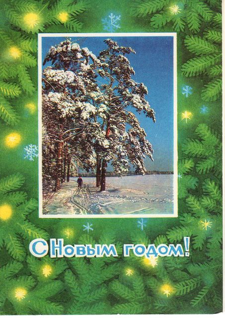 Сосны в снегу. С Новым годом! открытки фото рисунки картинки поздравления
