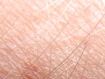 skin texture hair hairs macro pink arm flesh