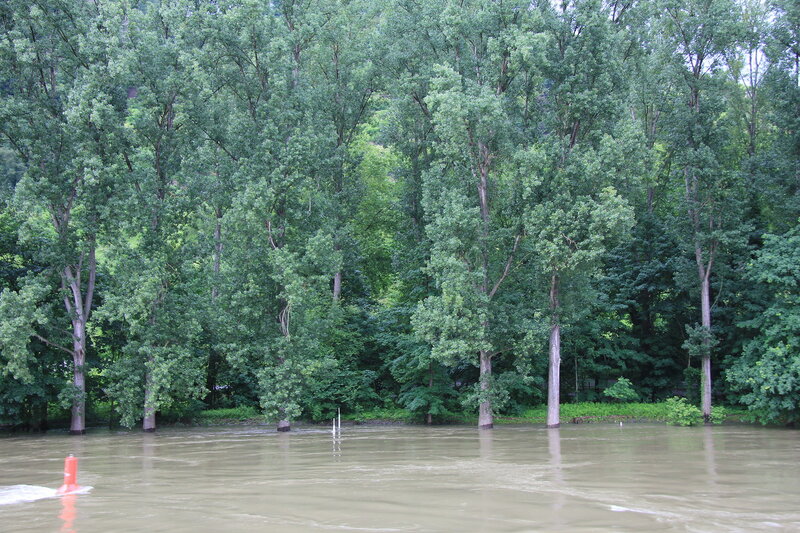 Речушка Эльцбах, речка Лан, река Мозель и "просто" Рейн из Кобленца, 9 дней июнь 2016