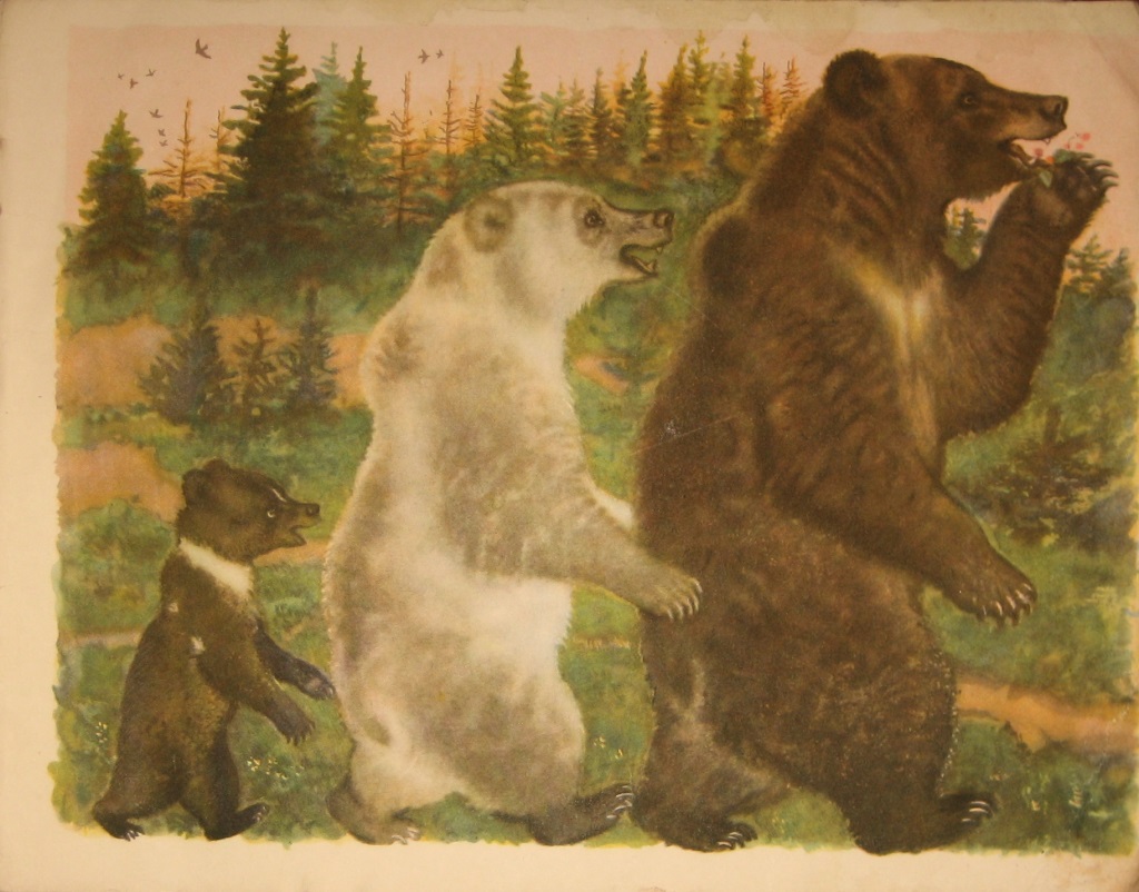 Можно 3 медведей