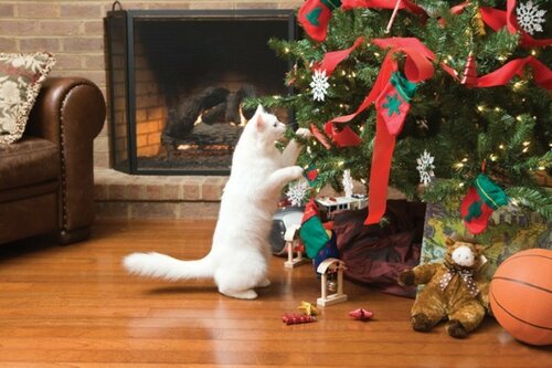 Красочная Новогодняя открытка к году кота и кролика

