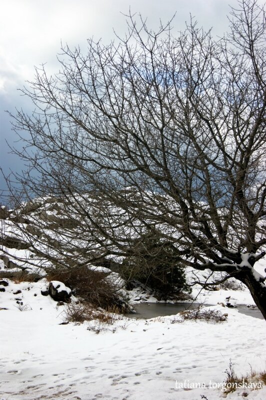 Зима в черногорских горах