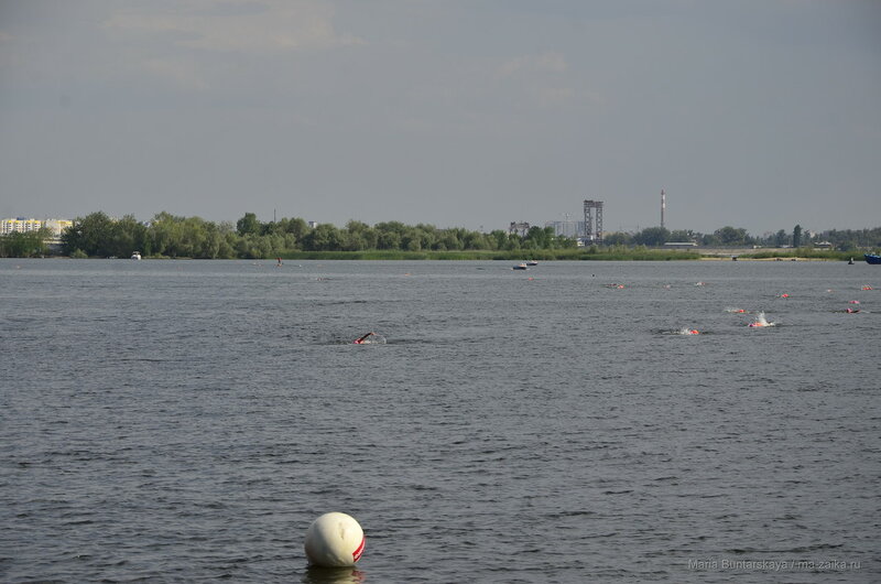 Заплыв через Волгу, Энгельс-Саратов, 13 августа 2016 года