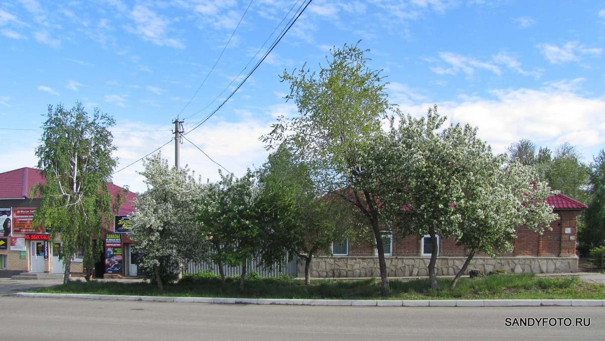 Цветущий Троицк — улица Гагарина — часть 
первая