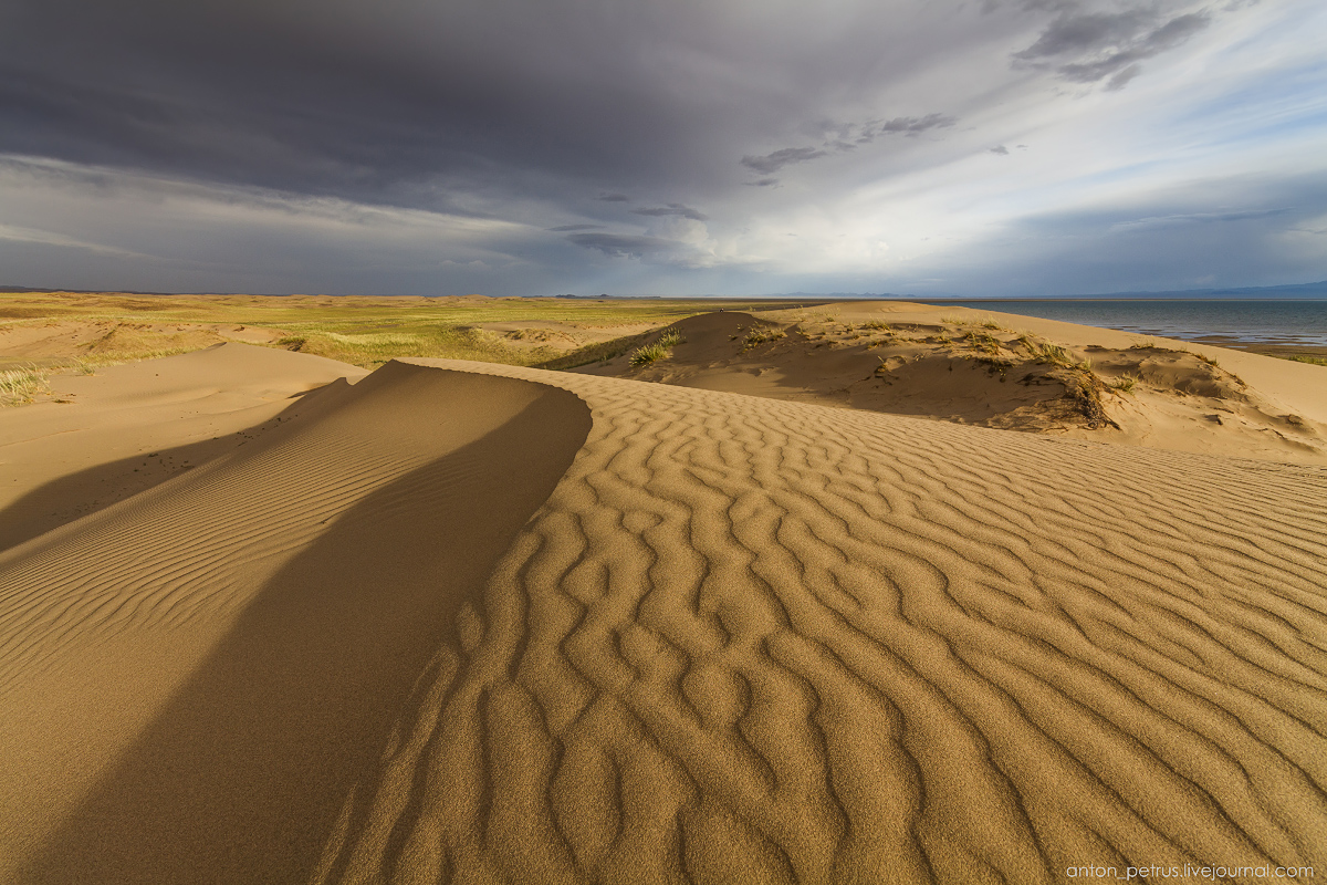Пустыня Гоби. Следы на песке