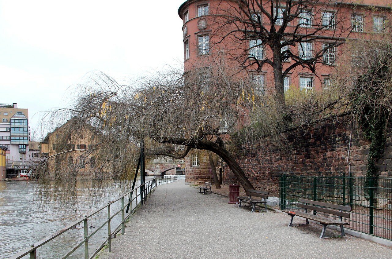 Strasbourg in January