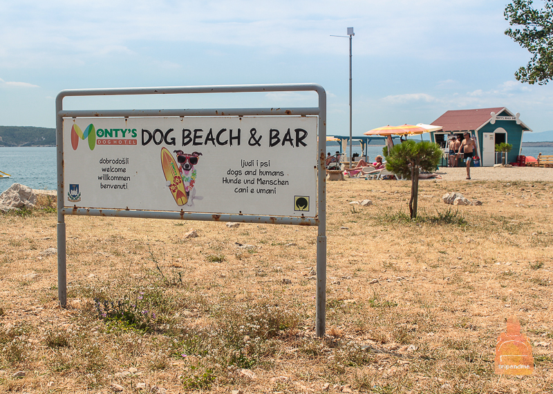 Пляж для собак