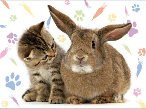 Красочная открытка к Новому году кота и кролика
