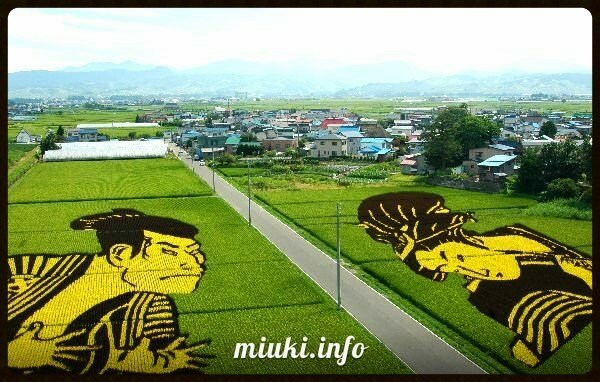 Искусство тамбо - картины на рисовых полях Японии
