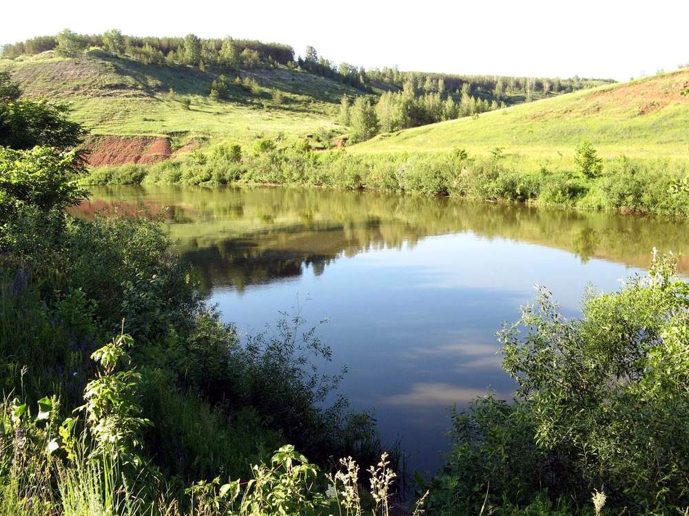 Памятник природы Нарат-Астинский бор