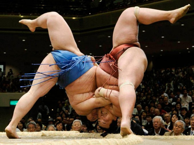 Императорская борьба: Самые интересные факты о японской борьбе сумо