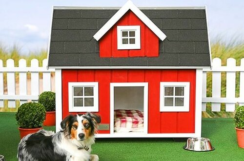 Необычные домики для собак