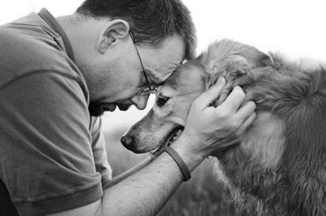 Трогательные фотографии прощания хозяев со своими собаками