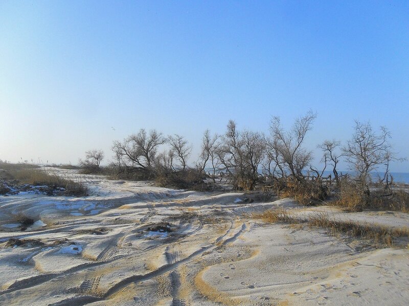 Зимний налет на сонных песках ... SAM_5224.JPG