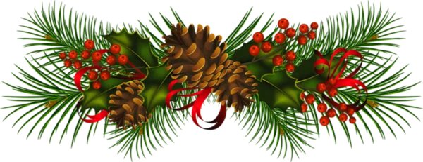 Transparent_Christmas_Pine_Cones_PNG_Clipart.png