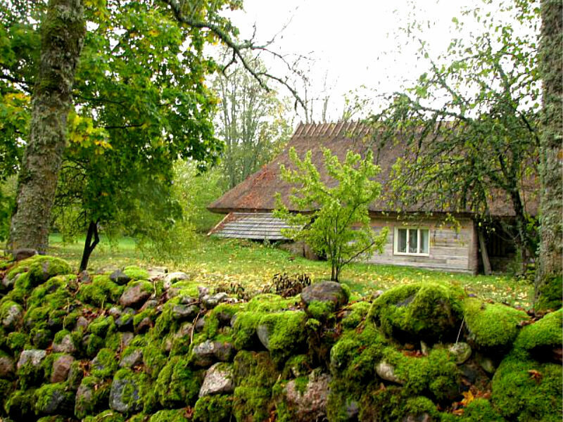 Деревня в эстонии