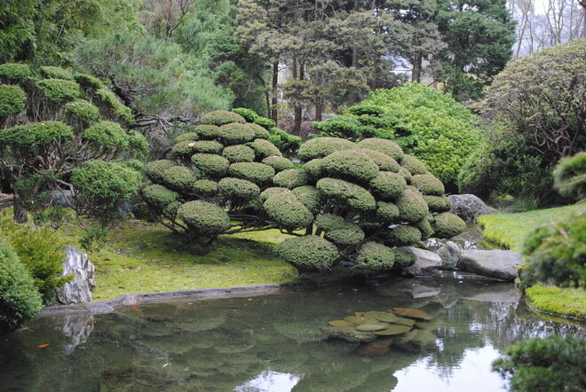 Японский чайный сад в Сан-Франциско