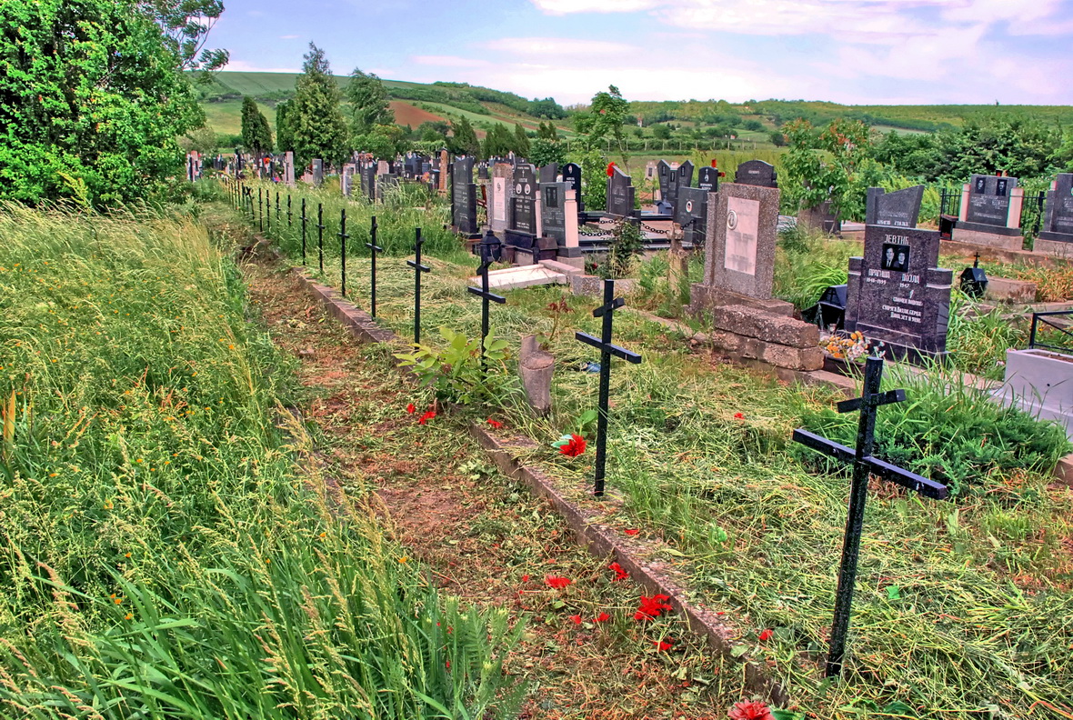 Почему названо кладбище. Тарычевское кладбище. Русское кладбище. Старые русские кладбища. Российское старое кладбище.