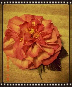 Роза - царица цветов 2 - Страница 29 0_fcb93_787f410f_M