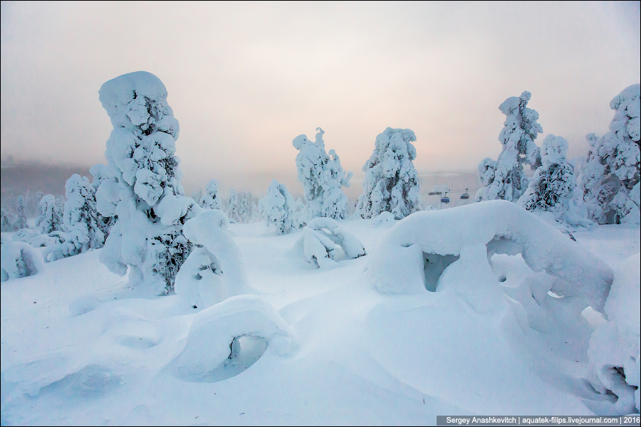 Зима в Лапландии / Winter in Lapland