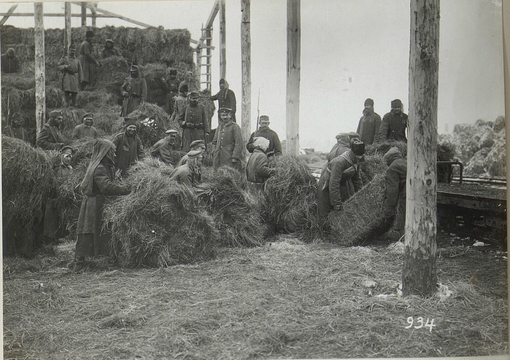 Ковель и его окрестности 1916 год