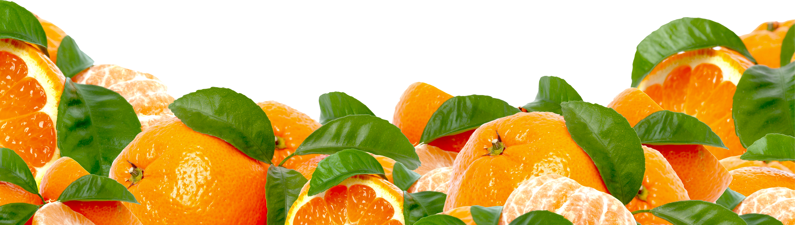 Фруктовая 31. Кухня фартук апельсин. Апельсин на белом фоне. Фартук фрукты. Апельсины с листом.